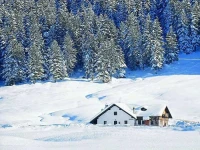 Park Hotel Avisio 3*