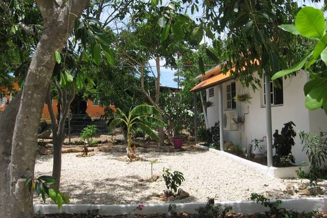 Ontdek Aruba