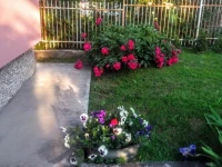 Guest House Bosnian House 4*