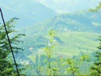 Hotel Hajducke vode 3*