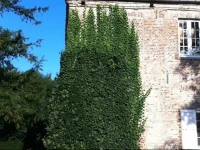 B&amp;B Dappersfield 
