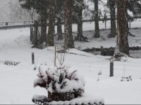 B&B Het Groote Genoegen 4*