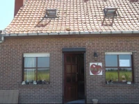 B&B Cherry Blossom 
