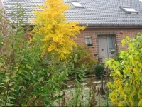 B&b Tynes House 