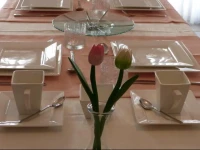 B&B de Tulp aan Zee 