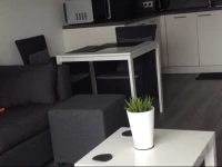 Studio Kristof 705 