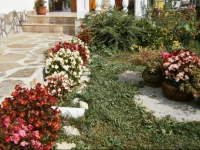 Guest House Debrina 