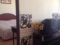 Botevgrad Hotel 