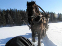 Suhov Kluch