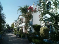 Gezira Gardens 