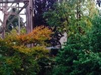 Pierrepoint Bed & Breakfast 