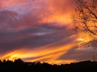 Simba Sunrise Bed &amp; Breakfast 