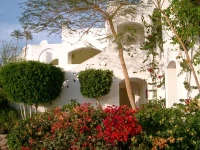 Domina Coral Bay Resort 5*