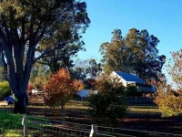 The Green Welly Stop 