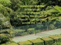Mayfield on Montville 