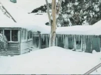 Currawong Lodge 