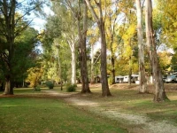 Mt Buffalo Caravan Park 