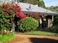 Woollybush Guest House B&amp;B 