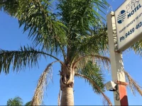 Perth City Motel 3*
