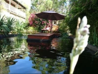 Natures Paradise 