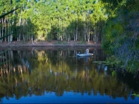Billabong Bed & Barra 