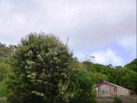 Rocky Glen Retreat King Island 