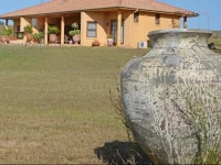 Casa Della Vigna on Sweetwater 