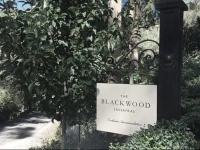 The Blackwood Sassafras 