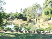 Still Waters 