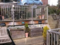 Ferry Steps Cottage 