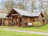 Tilford Woods 