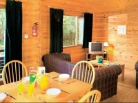 Sherwood Castle Holiday Forest 