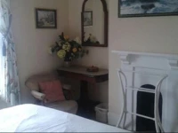Cat Cottage 