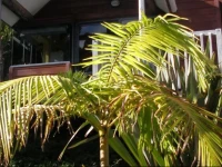 Bay Cabinz Motel 