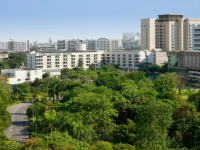 Rama Gardens Hotel 4*