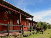 Sur Campestre 
