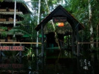 Tapir Lodge 