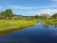 La Penal Camping y Amazonia 
