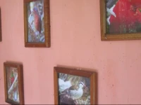 Hostal Rubby 
