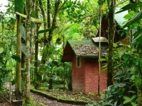 Hosteria Mariposas de Mindo 