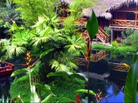 Mindo Lago 