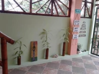 Hostal Casa Taisha 