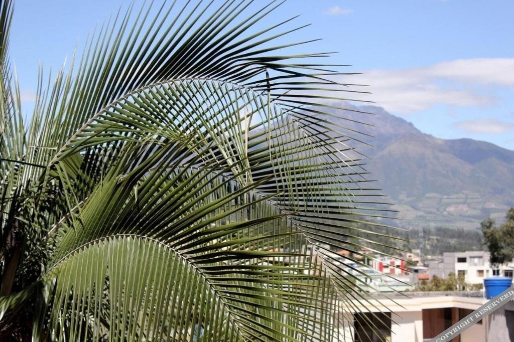 Hostal El Geranio 