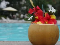 Green 9 Golf & Beach Resort 