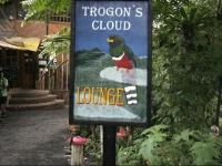 Bellavista Cloud Forest Reserve &amp; Lodge 