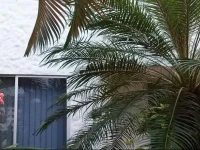 Conjunto Sol Dorado 2 