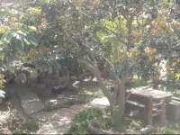 Casa Sweet Home Rural 