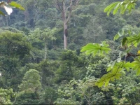 Copalinga Ecolodge 