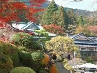 Mikawaya Ryokan 5*