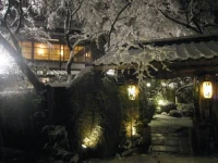 Akizuki Spa Ryokan Seiryuan 
